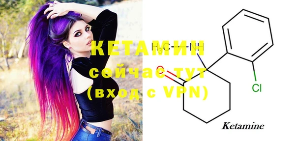 стаф Новодвинск