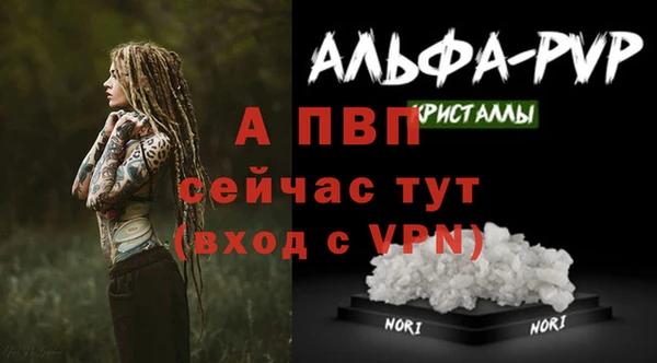 дживик Нефтекумск
