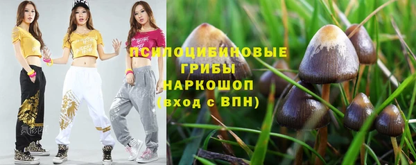 дживик Нефтекумск