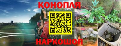 ешки Камышлов