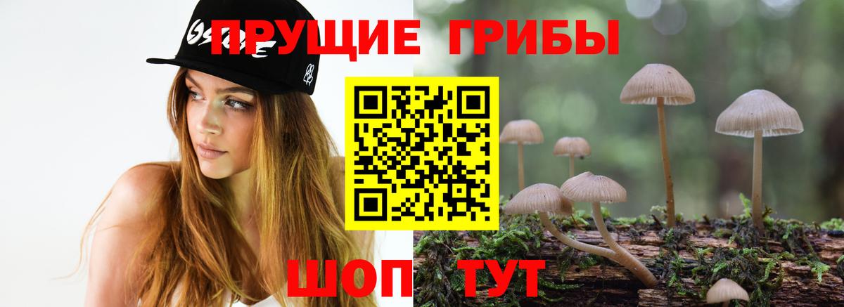 Псилоцибиновые грибы Psilocybine cubensis Североморск